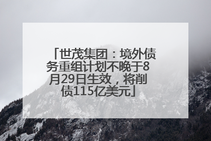 世茂集团：境外债务重组计划不晚于8月29日生效，将削债115亿美元