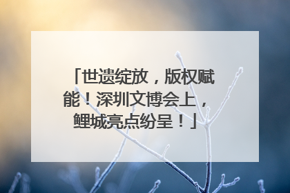 世遗绽放，版权赋能！深圳文博会上，鲤城亮点纷呈！