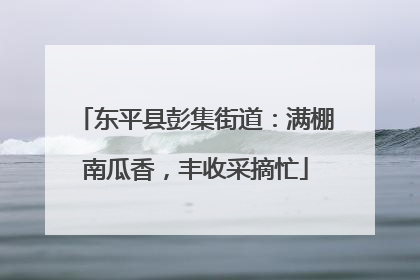 东平县彭集街道：满棚南瓜香，丰收采摘忙