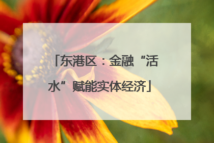 东港区：金融“活水”赋能实体经济