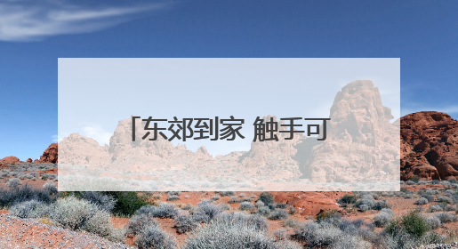 东郊到家 触手可及｜资深技师团队解锁居家养生新体验
