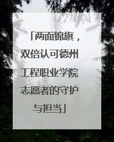 两面锦旗，双倍认可德州工程职业学院志愿者的守护与担当