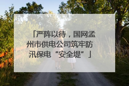 严阵以待，国网孟州市供电公司筑牢防汛保电“安全堤”