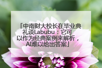 中南财大校长在毕业典礼谈Labubu：它可以作为经典案例来解析，AI难以给出答案