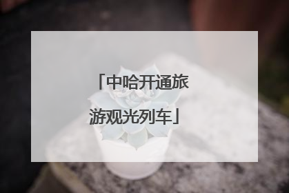 中哈开通旅游观光列车