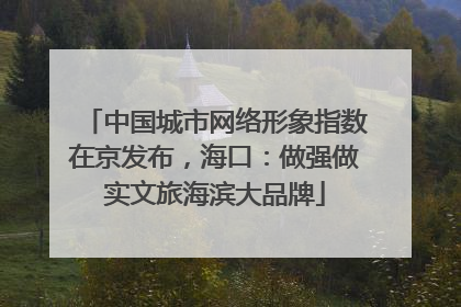 中国城市网络形象指数在京发布，海口：做强做实文旅海滨大品牌