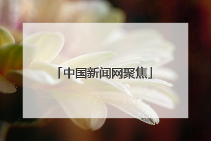 中国新闻网聚焦