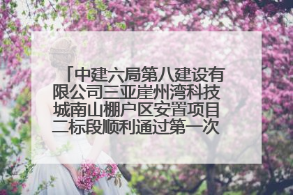中建六局第八建设有限公司三亚崖州湾科技城南山棚户区安置项目二标段顺利通过第一次主体结构验收