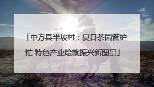 中方县半坡村：夏日茶园管护忙 特色产业绘就振兴新图景