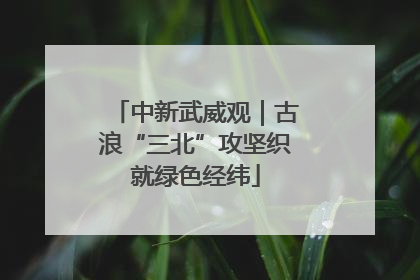 中新武威观｜古浪“三北”攻坚织就绿色经纬