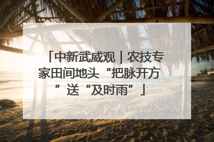 中新武威观｜农技专家田间地头“把脉开方”送“及时雨”