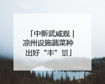 中新武威观｜凉州设施蔬菜种出好“丰”景
