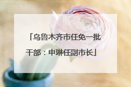 乌鲁木齐市任免一批干部：申琳任副市长