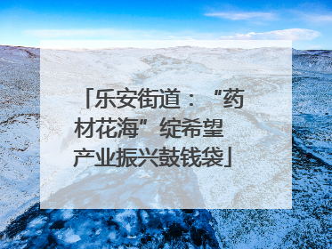 乐安街道：“药材花海”绽希望 产业振兴鼓钱袋