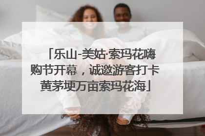 乐山-美姑·索玛花嗨购节开幕，诚邀游客打卡黄茅埂万亩索玛花海