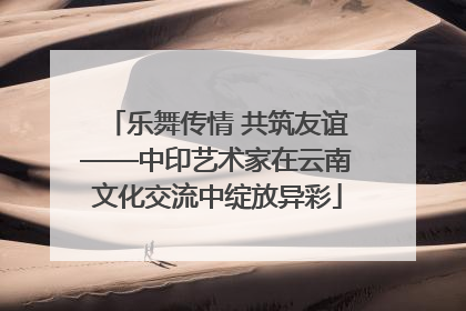 乐舞传情 共筑友谊——中印艺术家在云南文化交流中绽放异彩