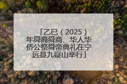 乙巳（2025）年舜裔舜商、华人华侨公祭舜帝典礼在宁远县九嶷山举行