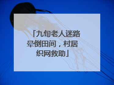 九旬老人迷路晕倒田间，村居织网救助