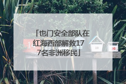 也门安全部队在红海西部解救177名非洲移民