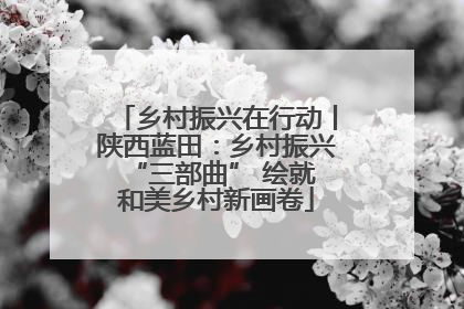 乡村振兴在行动丨陕西蓝田：乡村振兴 “三部曲” 绘就和美乡村新画卷