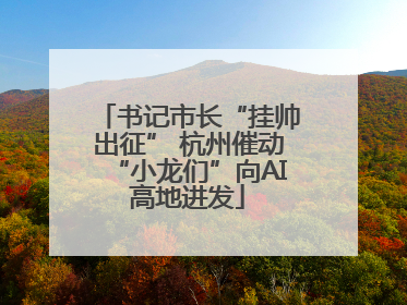 书记市长“挂帅出征” 杭州催动“小龙们”向AI高地进发