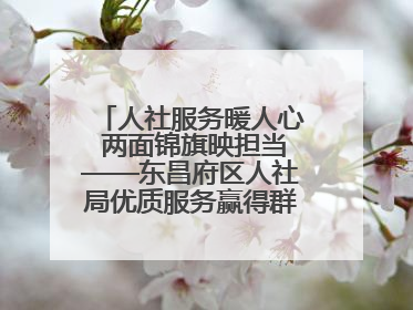 人社服务暖人心 两面锦旗映担当——东昌府区人社局优质服务赢得群众双赞誉
