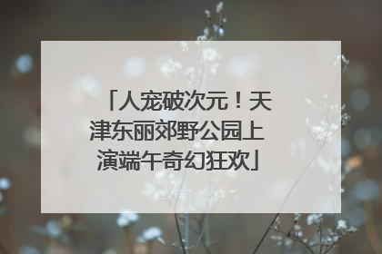 人宠破次元！天津东丽郊野公园上演端午奇幻狂欢