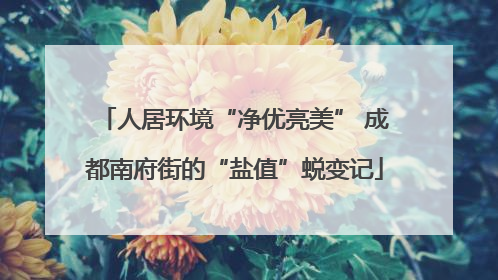 人居环境“净优亮美” 成都南府街的“盐值”蜕变记