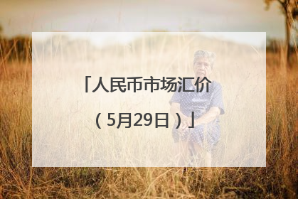 人民币市场汇价（5月29日）