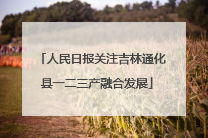 人民日报关注吉林通化县一二三产融合发展
