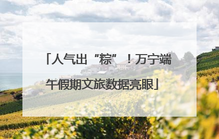 人气出“粽”！万宁端午假期文旅数据亮眼