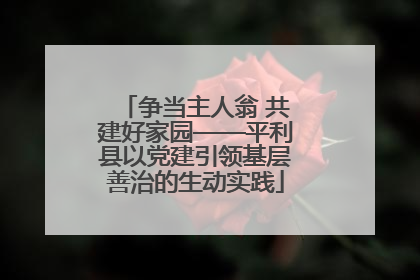 争当主人翁 共建好家园——平利县以党建引领基层善治的生动实践