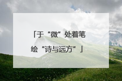 于“微”处着笔 绘“诗与远方”
