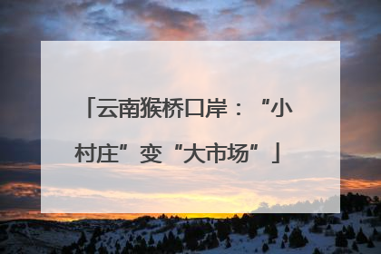 云南猴桥口岸：“小村庄”变“大市场”