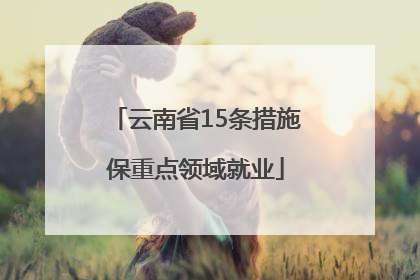 云南省15条措施保重点领域就业