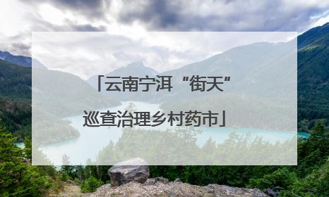 云南宁洱“街天”巡查治理乡村药市