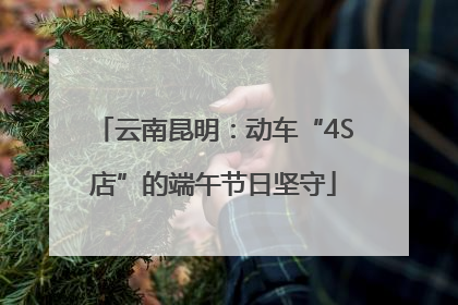云南昆明：动车“4S店”的端午节日坚守