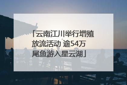 云南江川举行增殖放流活动 逾54万尾鱼游入星云湖