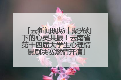 云新闻现场丨聚光灯下的心灵共振！云南省第十四届大学生心理情景剧决赛燃情开演