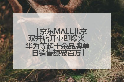 京东MALL北京双井店开业即爆火 华为等超十余品牌单日销售额破百万