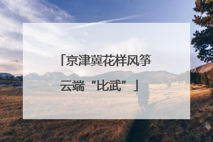 京津冀花样风筝云端“比武”