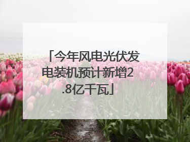 今年风电光伏发电装机预计新增2.8亿千瓦