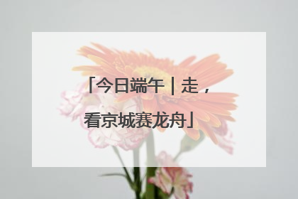 今日端午｜走，看京城赛龙舟