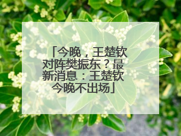 今晚，王楚钦对阵樊振东？最新消息：王楚钦今晚不出场