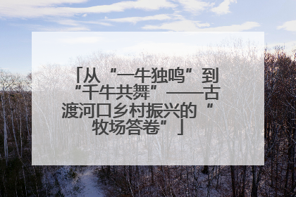 从“一牛独鸣”到“千牛共舞”——古渡河口乡村振兴的“牧场答卷”