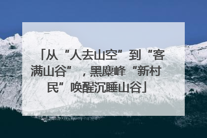 从“人去山空”到“客满山谷”，黑麋峰“新村民”唤醒沉睡山谷