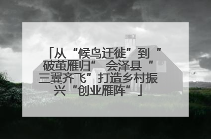 从“候鸟迁徙”到“破茧雁归” 会泽县“三翼齐飞”打造乡村振兴“创业雁阵”