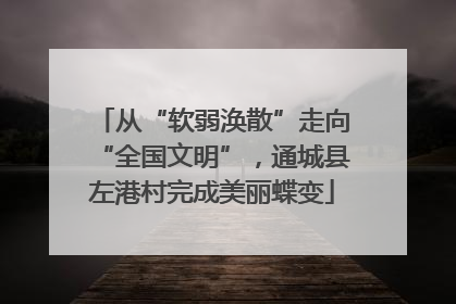 从“软弱涣散”走向“全国文明”，通城县左港村完成美丽蝶变
