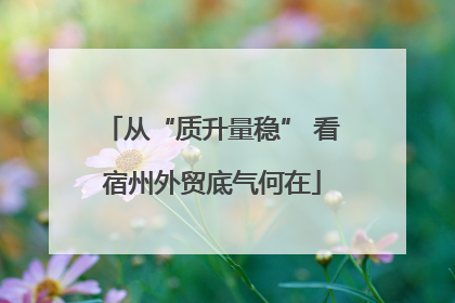 从“质升量稳” 看宿州外贸底气何在