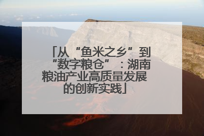 从“鱼米之乡”到“数字粮仓”：湖南粮油产业高质量发展的创新实践